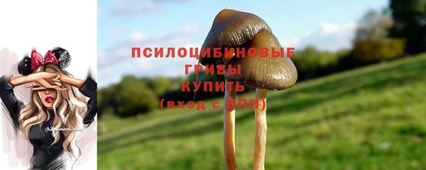 соль курить ск Новозыбков