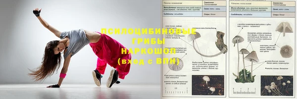 mdma Новодвинск