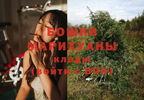 ПСИЛОЦИБИНОВЫЕ ГРИБЫ Нязепетровск