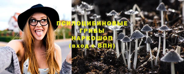 гашиш Няндома