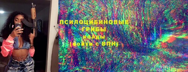 гидра Богородицк