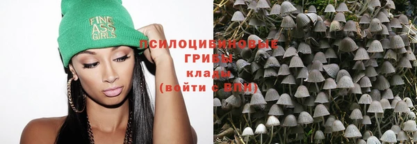 mdma Новодвинск