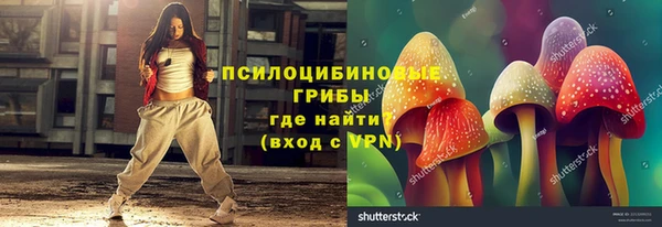 ПСИЛОЦИБИНОВЫЕ ГРИБЫ Нязепетровск