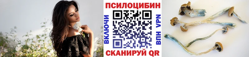 omg ССЫЛКА  Слюдянка  Галлюциногенные грибы GOLDEN TEACHER 